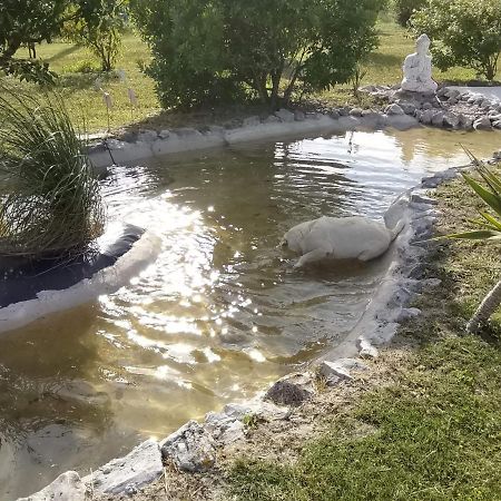 לינה וארוחת בוקר Salir de Matos Casa Ochruros מראה חיצוני תמונה